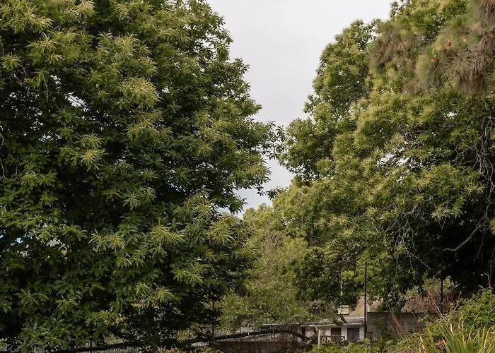 Apartment Mialon Rural Apartment: Haven Of Calm In Nature *